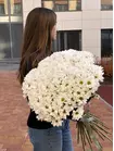 Заказать Букет из 25 ромашковых кустовых хризантем в Томске
