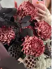 Заказать Сборный букет "Полночный бархат" с доставкой на дом в Томске