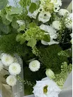 Заказать Сборный букет "Мятная схема" с доставкой по городу Томск
