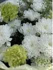 Заказать букет «Символ знаний» с доставкой по городу Томск