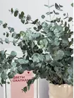 Заказать охапку эвкалипта Cinerea с доставкой в Томске