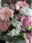 Заказать композицию "Зефирные сны" с доставкой по городу Томск