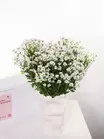 Заказать охапку кустовых хризантем Santini в Томске