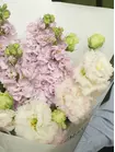 Заказать букет "Сдержанный восторг" с доставкой по городу Томск