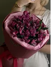 Монобукет из 5 пурпурных альстромерий заказать в Томске