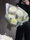 Купить Букет из одиночных хризантем, эвкалипта и матрикарии с доставкой в Томске