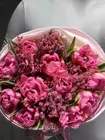 Купить Букет c тюльпанами "Hot pink" в Томске