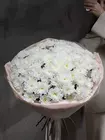 Купить  Букет из 19 кустовых белых хризантем  Altay  в Томске