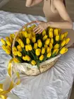 Купить Композиция в корзине из тюльпанов "Солнечный март"  в Томске на 8 Марта