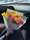 Купить Весенний букет из 25 тюльпанов микс в Томске