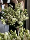 Купить с бесплатной доставкой букет из эустомы в Томске