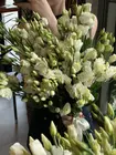 Доставить букет из белой эустомы в Томске