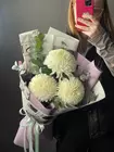 Купить Букет из белой одиночной хризантемы с эвкалиптом в оформлении с доставкой в Томске