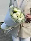 Пионы Томск