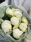 Белые пионы купить Томск