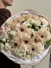 Кустовые розы Томск