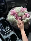 Пионы купить Томск