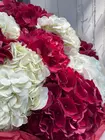 Доставить Монобукет из бело-бордовых гортензий в оформлении по городу Томск