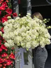 Купить Монобукет из 51 кружевной белой эустомы с доставкой по городу