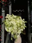 Заказать с бесплатной доставкой по Томску Монобукет из 25 белых кружевных эустом