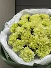 Купить Монобукет из фисташковых гвоздик в оформлении с доставкой по городу Томск