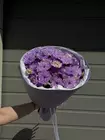 Букет из фиолетовой хризантемы Томск