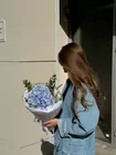 Гортензии Томск купить