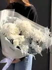 Доставка Букет с гвоздиками и одиночными хризантемами "Белоснежная симфония" в Томске