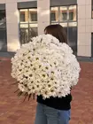 Доставка Букет из 25 ромашковых кустовых хризантем в Томске
