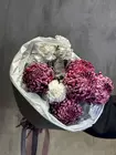 Доставка Дуобукет из серых гвоздик и винных хризантем в Томске