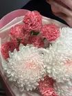 Заказать Дуобукет из розовых гвоздик и одиночных хризантем в Томске