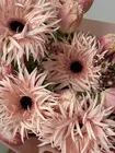 Заказать Сборный букет "Поцелуй весны" в Томске