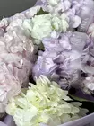 Заказать Букет из 11 гортензий разных цветов в оформлении в Томске