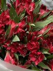 Доставка Монобукет из 9 красных альстромерий по городу Томск