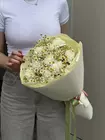 Купить букет из гвоздик и ромашек «Ванильный отблеск» в Томске