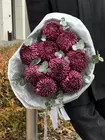 Заказать букет из 9 одиночных хризантем Bigoudi Purple с эвкалиптом с доставкой по городу Томск