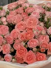 Оформить заказ на Букет из 17 кустовых роз Femke в оформлении в Томске