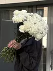 Купить гвоздики штучно с доставкой на дом