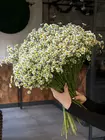 Заказать матрикарию поштучно в Томске с доставкой