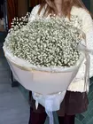 Купить букет из 11 белых гипсофил в Томске