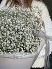 Заказать букет из 11 белых гипсофил в Томске с доставкой