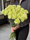 Купить цветы поштучно ТомскЗаказать цветы поштучно с доставкой в Томске