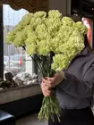 Купить гвоздики штучно с доставкой на дом