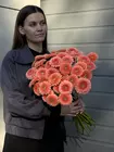 Заказать  герберы мини в Томске с доставкой поштучно