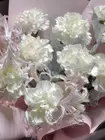Заказать букет из гвоздик и нерине "Хрустальные струны" с доставкой по городу Томск