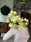 Купить цветы поштучно Томск
