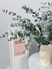 Охапка из свежего эвкалипта Cinerea, быстрая доставка по Томску