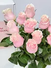 15 стеблей роз Pink Mondial пудрового оттенка — заказать доставку в Томске