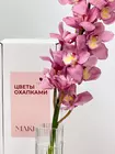 Заказать доставку ветки Cymbidium в Томске