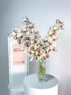 Томск: заказать охапку веток Cymbidium 3 ветки — доставка MAKI